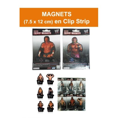 Magnet WWE
